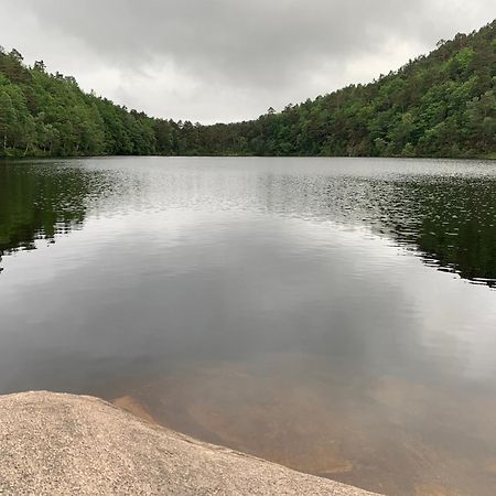 Velkommen Til En Koselig Leilighet Pa Sorlandet! Kristiansand Extérieur photo